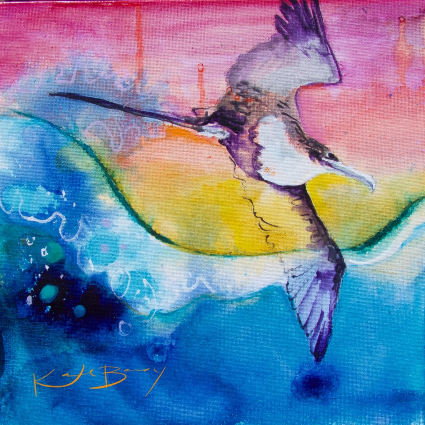 ‘Iwa Bird T