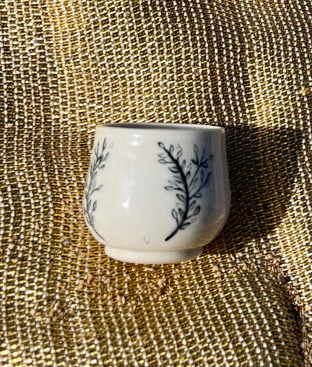 Wreath Fern Mini Pot